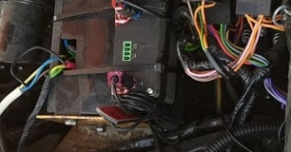 Фото Можем укротить даже монстра! №5