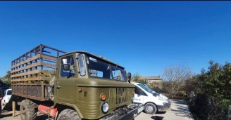 Фото Упрямая Шишига №3